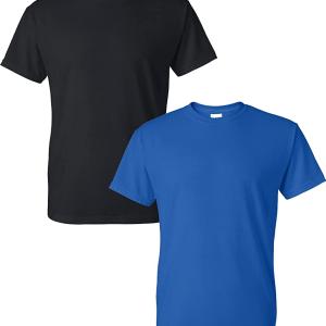 Gildan Men's DryBlend T-Shirt, Style G8000, 2-Pack