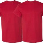 Gildan Men's DryBlend T-Shirt, Style G8000, 2-Pack