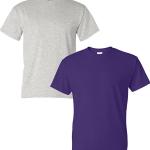 Gildan Men's DryBlend T-Shirt, Style G8000, 2-Pack
