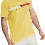 Tommy Hilfiger Men's Short Sleeve Signature Stripe Graphic T-Shirt